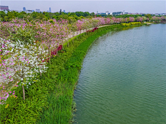 尘世浮烟采集到江河湿地公园景观