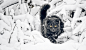 Animal, Animals, Black Cats, Branches, Cat, Fluffy, Hunting, Nature, Snow, Yellow Eyes wallpaper preview