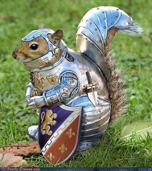 squirrel in arms