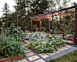 Vegetable Box Home Design Ideas, Pictures, Remodel and Decor