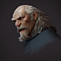 Fan Art_Fenghua Zhong, Anand Chander : Sculpted, Textured and Rendered in ZBrush, then Composited in Photoshop. Concept Art by Fenghua Zhong https://www.artstation.com/artwork/classroom-demonstration-of-the-head