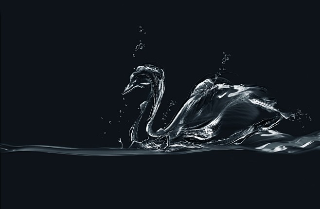 Swan , water , figur...