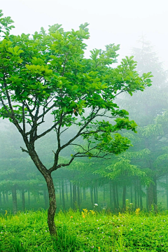 愿执时光春暖花开采集到ζั͡ޓއއއ๓º摄影&风景