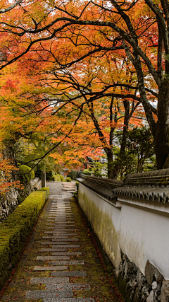 晴蓝2采集到唯美风景