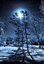 Magical Winter Night