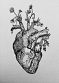 手绘 关于心脏