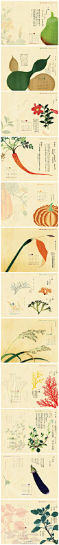 #堆糖视觉设计#「生活并非粗茶淡饭」自2006年始，国立台湾大学图书馆每年都会出版一套台历壁纸供下载。2012年选取的是日本画家岩崎常正画的《本草图谱》。从今天起关心粮食和蔬菜！（来自糖友@迷路的饼干 的收集，点击查看更多视觉设计 >>> http://t.cn/zO1WEcc）