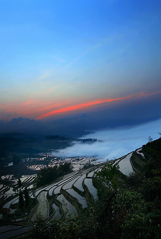 中国（CHINA）元阳梯田