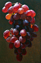 Robert Hannaford (1944 - ) | Grapes-oil-6x4