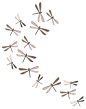 加拿大Umbra WALLFLUTTER 墙面蜻蜓装饰（砂镍色）墙饰