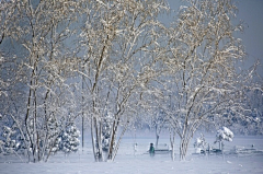 宁夏的Vinr采集到暮雪千山，只影独行