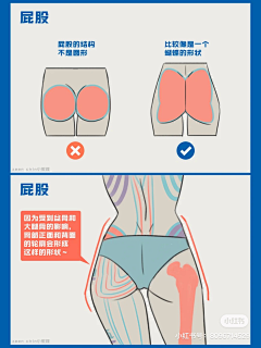 罐装猫粮catin采集到教程