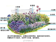 似水流汗采集到植物