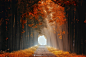Dreaming of Autumn by Lars van de Goor on 500px
