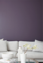 Clare | Interior Paint | Prince