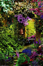 花园入口，普罗旺斯，法国
Garden Entry, Provence, France
