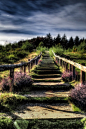 The stairway up to the hill by Joost Lagerweij