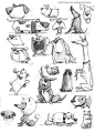 "O GRITO DO BICHO": Desenho de cães ‪#‎ogritodobicho‬ ‪#‎falabicho