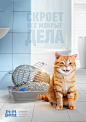 WetWork : Cat litter Pi-Pi Bent 