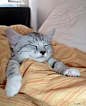 夏天睡觉最舒服的就是开空调盖棉被，有同感的举个手~