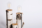 Autumn Workshop Transforms Birch Logs Into Beautiful Touch Lamps