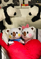 #OKI&KIKI# #OK熊很OK# #Plush# #Dream# #Adorable# #Sleeping# #Good Night# #小清新# #小确幸# #元气# #萌# #KO不爽# #OK起飞# #梦想# #睡觉# #晚安#