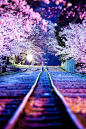 日本京都，夜！#美景##唯美# #美图# #风景# #小清新# #治愈系#自然#场景#