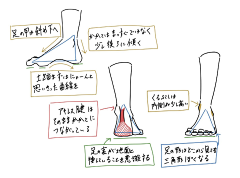 爆裂的退堂鼓鼓手采集到肌肉