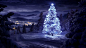 平安夜圣诞树光芒美景图片手机壁纸@北坤人素材