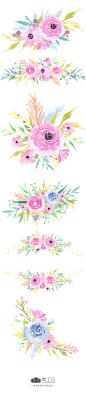 Spring Blooms_手绘鲜花元素-PNG：