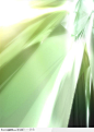 光与速度CG背景-浅墨绿色