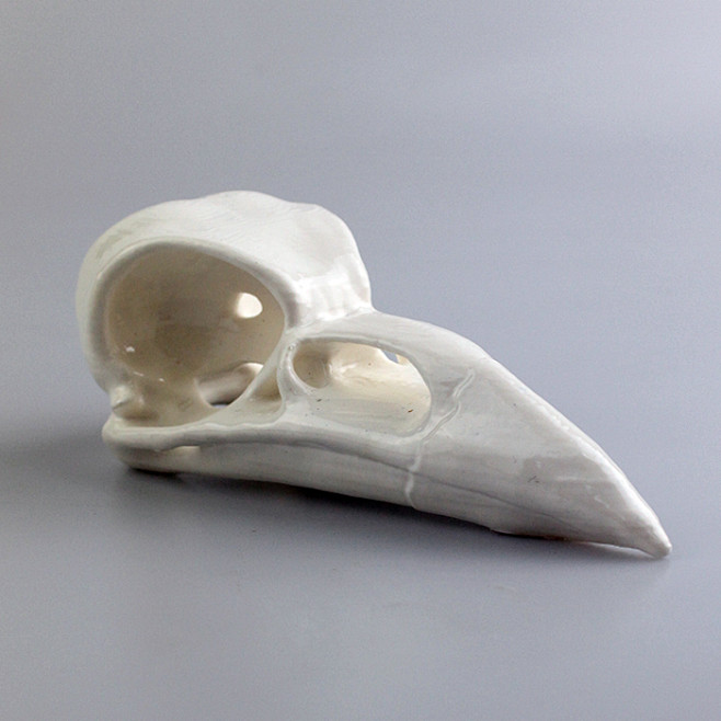 3D打印的乌鸦头骨，模型文件可在http...