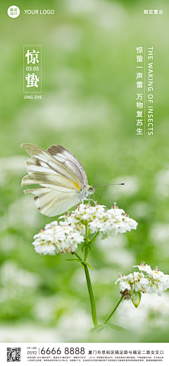 山塘街甜甜的荠菜采集到蝴蝶