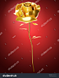Golden Rose on Red background