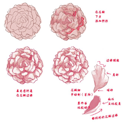 缺角的冰采集到学习