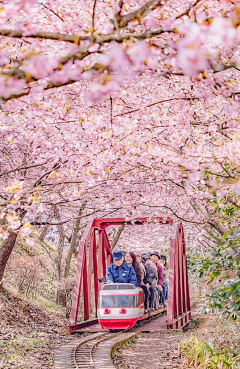 找自己啊采集到日本