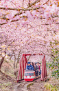 The small town, located just outside of Tokyo,Japan