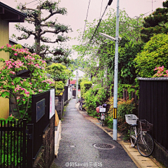 许星纯♡采集到江南烟雨｡:*♡