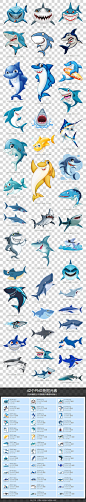 卡通鲨鱼图片大白鲨素材模板 高清PNG图片 鲨鱼 海豚 鲸鱼 海洋鱼-淘宝网