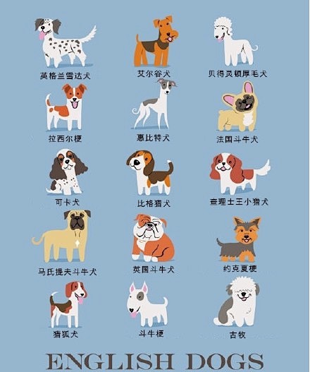 世界名犬图鉴。插画家 Lili Chin...
