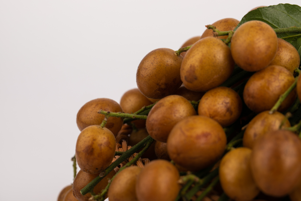 bbf2173e264cc5867b026eb3b3eea1b22d58b3144c6b0-TW9Rk3