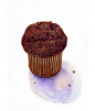 Chocolate Muffin - PRINT of a colored pencil drawing