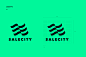 Salecity : Branding & Identity project for online store called Salecity..A new vibrant and eye catching identity has been developed to stand out from a vast amount of competition online.