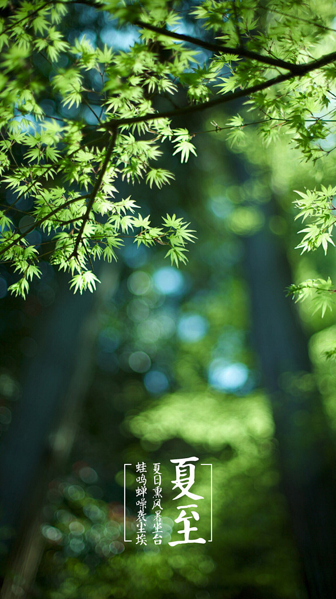 夏日熏风暑坐台，蛙鸣蝉噪袭尘埃。——夏至