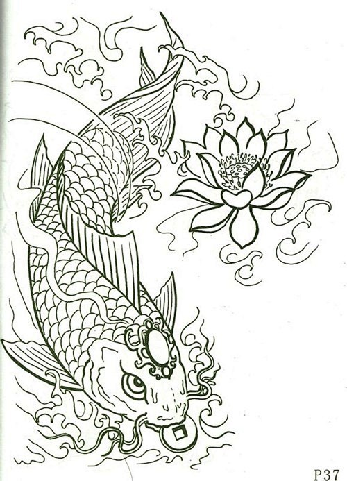 手稿鲤鱼纹身图4