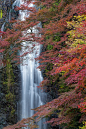 sublim-ature:

Minoh Falls, JapanChaluntorn Preeyasombat
