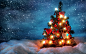 General 1920x1200 Christmas Tree lights snow sky