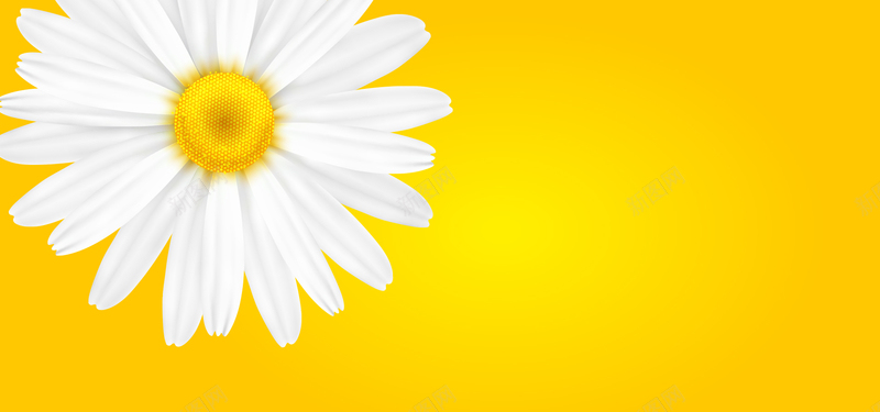 bc1f3c1819698bf2380e2867d83f82c6f2a7310518cf3-1FXQBL