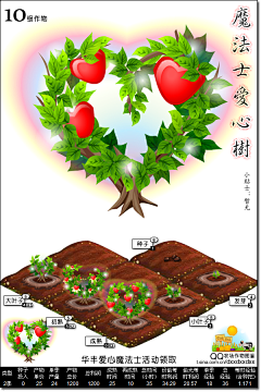 Vulpes12138采集到植物