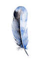 手绘 水彩 粉嫩 海洋 鲸鱼 热气球 花卉 花环 H785 (56)